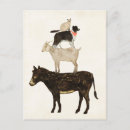 Recherche de âne cartes postales Animal
