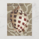 Recherche de sonnet cartes postales Coquillages