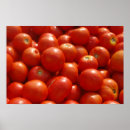 Zoek naar tomaten posters Tuin