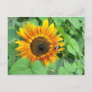Recherche de bourdon cartes postales Abeille