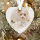 Recherche de petit chien ornements Dog