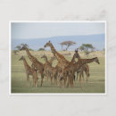 Recherche de rassemblements cartes postales Photographie