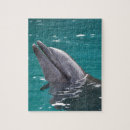 Recherche de dauphin puzzles Aquatique