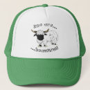 Recherche de moutons casquettes Ewe