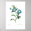 Zoek naar tricolore posters Bloemen