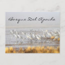 Recherche de grues cartes postales Animal