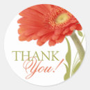 Recherche de marguerite orange de gerbera autocollants Merci