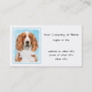 Recherche de espagnols cartes visite Dog