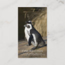 Recherche de ânes cartes visite Amoureux des animaux