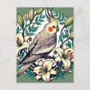 Zoek naar kakkerlak briefkaarten Vogel