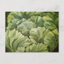 Recherche de choux cartes postales Vie