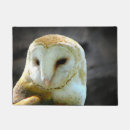 Recherche de hibou paillassons Faune
