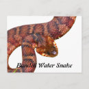 Recherche de constricteur cartes postales Reptile
