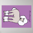 Recherche de chien de caniche posters Dogs