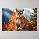 Recherche de de puma posters Pomme