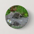 Recherche de hérissons badges Nature