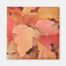 Recherche de couleurs de chute magnets Arbre
