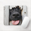 Recherche de labrador retriever noir tapis souris Dog