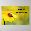 Recherche de la vie est belle posters Citer