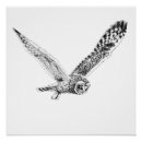 Zoek naar vogel schets kunst Uil