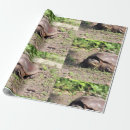 Zoek naar groot cadeaupapier Wild