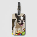 Recherche de chien de terrier bagages étiquettes Dog