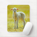 Recherche de sheep tapis souris Animal