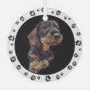 Recherche de dachshund christmas decor Pour animaux