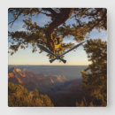Recherche de canyon horloges Nature