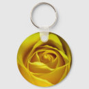 Recherche de macro de fleur accessoires Rose