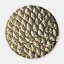 Recherche de graines magnets Graines de tournesol