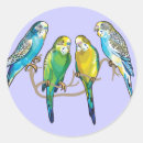 Recherche de perruques autocollants Bougie