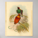 Recherche de oiseau du paradis posters Vintage