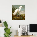Recherche de plumage art Faune
