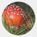 Recherche de mouche autocollants Champignon