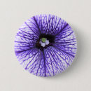 Zoek naar lila bloemen buttons Lavendel