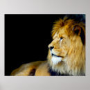 Recherche de grands cinq posters Faune