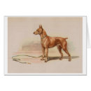 Recherche de pinscher miniature vœux cartes Animaux