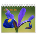 Recherche de iris photographie Nature