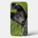 Recherche de renard arctique électronique Sauvage