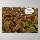 Recherche de plantes carnivores posters Nature