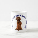 Recherche de irish tasses Chiens