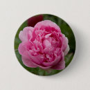 Recherche de rosa badges Fleurs