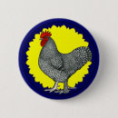 Recherche de volailles badges Coq