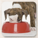 Zoek naar puppy onderzetters Close up