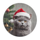 Recherche de humour animal planches à découper Chaton