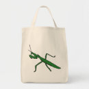 Zoek naar het bidden mantid Groen