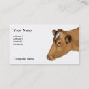 Recherche de vaches laitières cartes visite Agriculteur