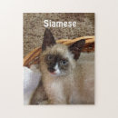 Recherche de chat siamois puzzles Mignon