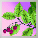 Zoek naar frambozen posters Roze
